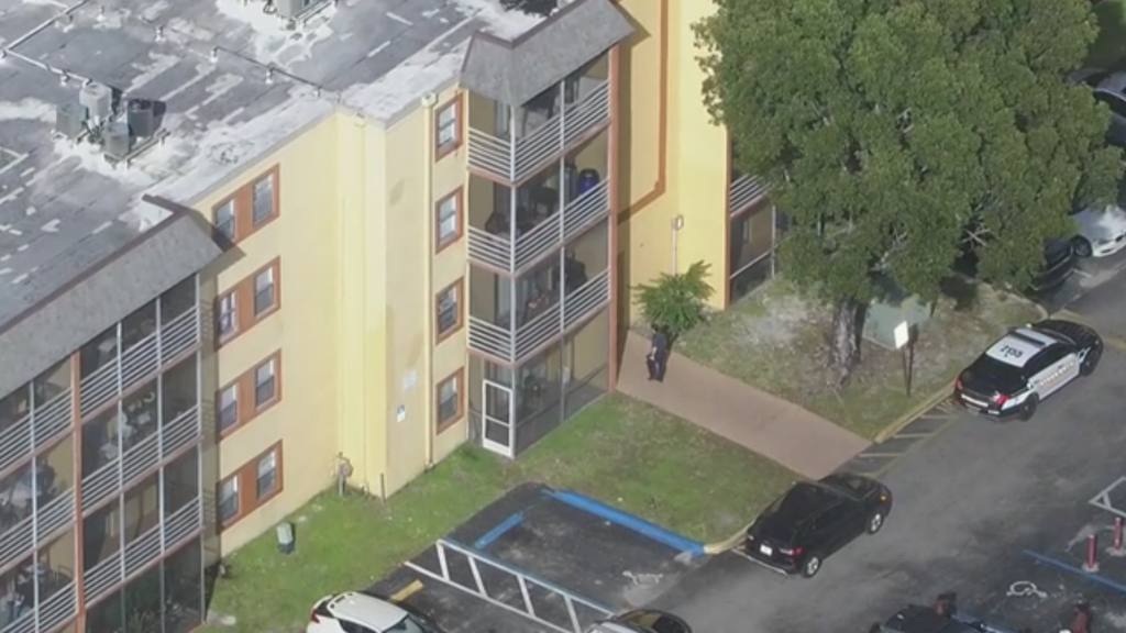10-year-old girl hospitalized after 8-year-old brother throws knife and hits chest, Lauderhill police say — CBS Miami, Dunedin Health news