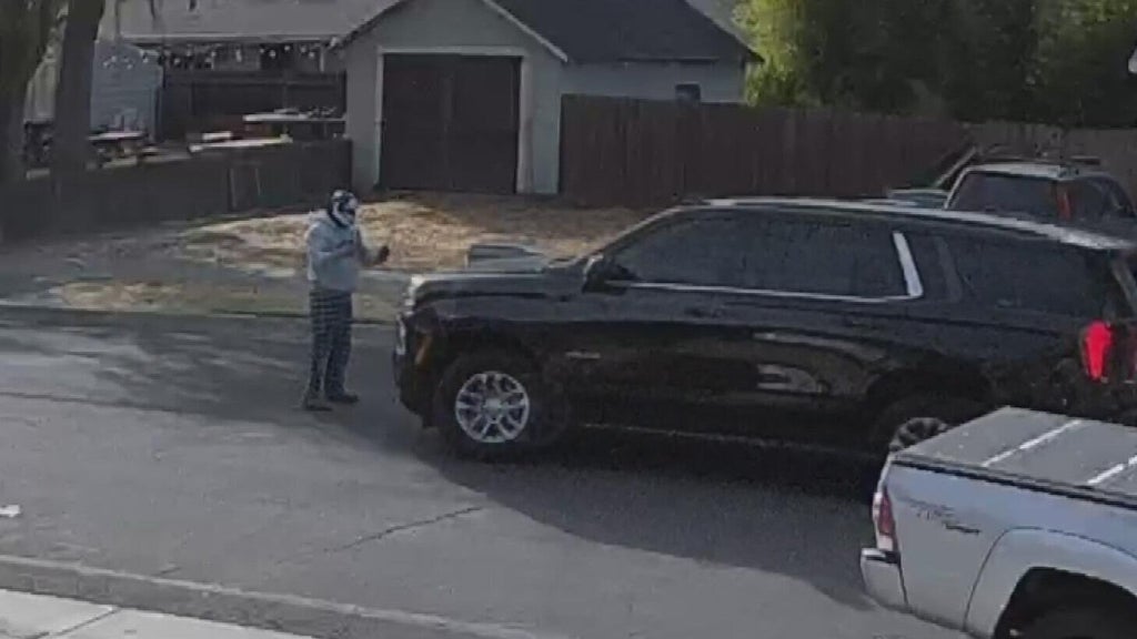 ICE responds after Woodland police dispute initial account of collision with pedestrian — CBS Bay Area (KPIX), Dunedin Health news