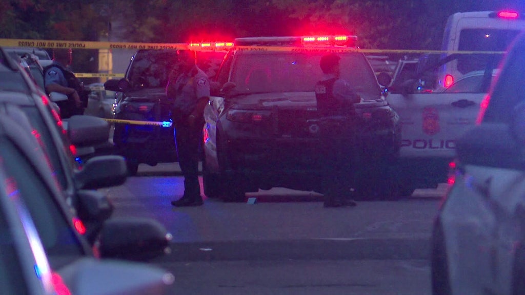 Minneapolis officer fires gun when armed teen carjacker hits squad in stolen car, police say — WCCO / CBS Minnesota, Dunedin Health news