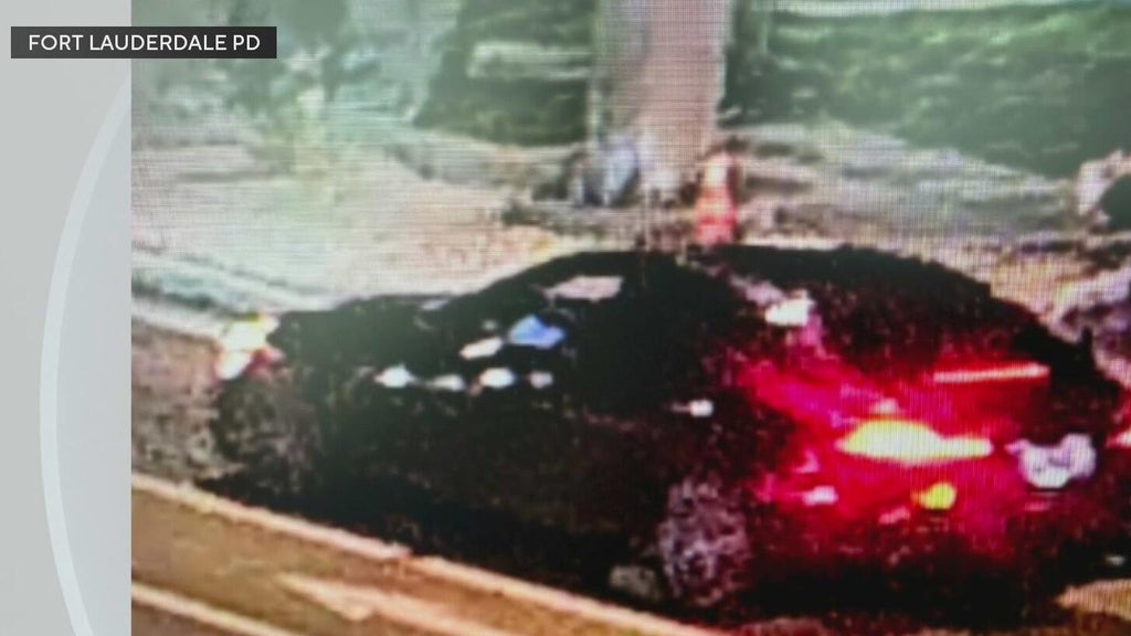 Police seek Mercedes in deadly Fort Lauderdale hit-and-run — CBS Miami, Dunedin Community news