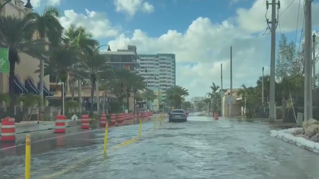 King tide flooding in South Florida has businesses, residents preparing for another onslaught of water โ CBS Miami, Dunedin Business news