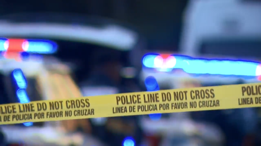 Man accused of stabbing, killing his own mother in Tamarac, BSO says — CBS Miami, Dunedin Health news