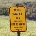 Pointers for Public Land Hunting — NewsDakota, Dunedin Sports news