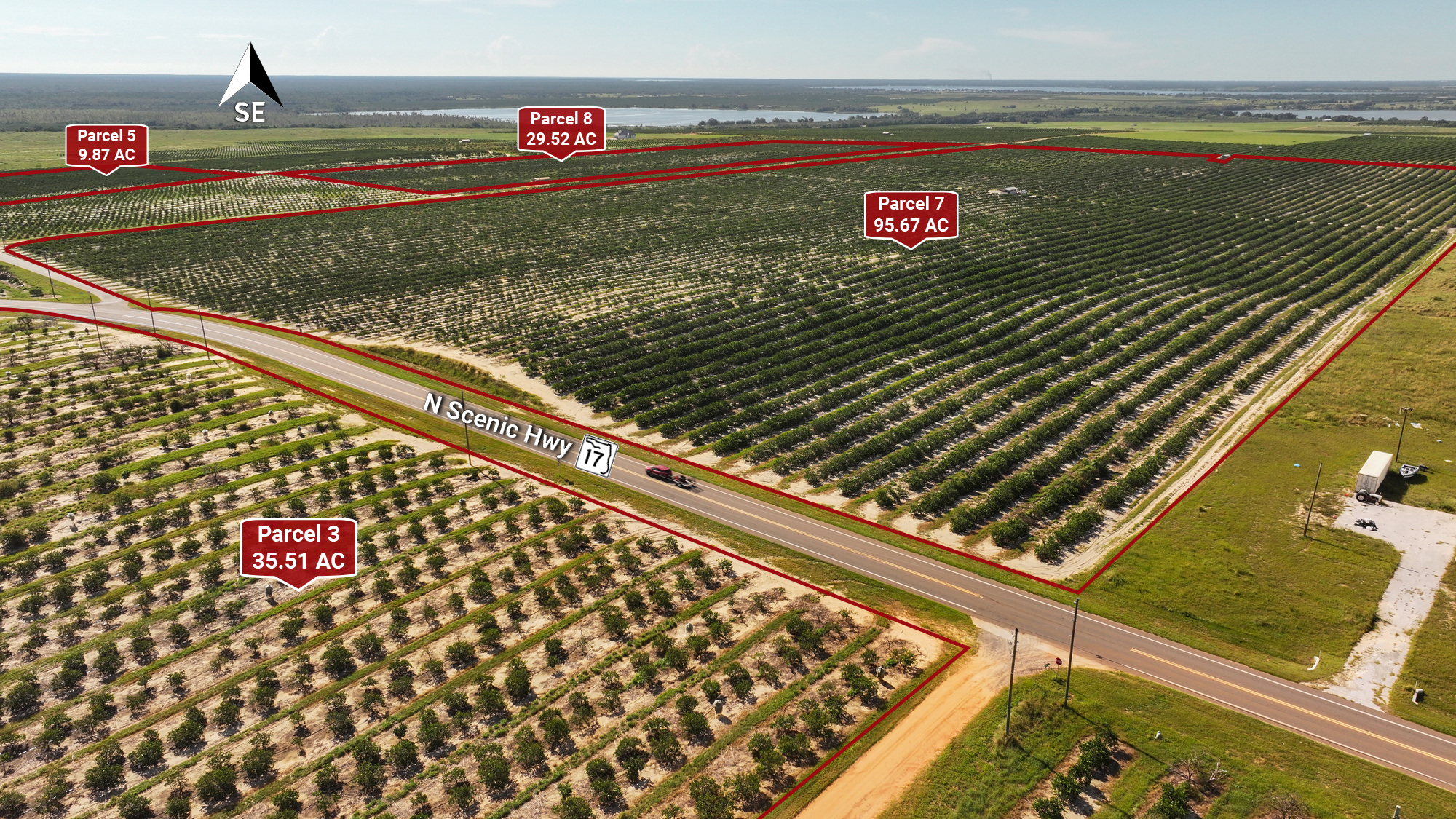 584 acres of Polk County citrus groves heading to auction — WFTS ABC Action News Tampa, Dunedin Real Estate news
