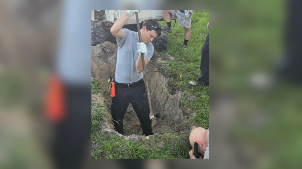 Dog trapped in sinkhole saved by fire rescue crews in Florida: CFD — WFTS ABC Action News Tampa, Dunedin Community news