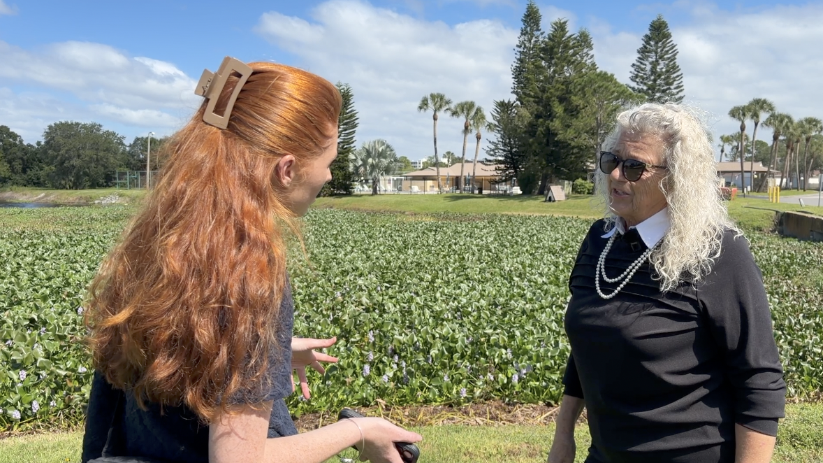 Residents fear future flooding as Largo canal maintenance dispute leaves neighborhood seeking answers — WFTS ABC Action News Tampa, Dunedin Real Estate news