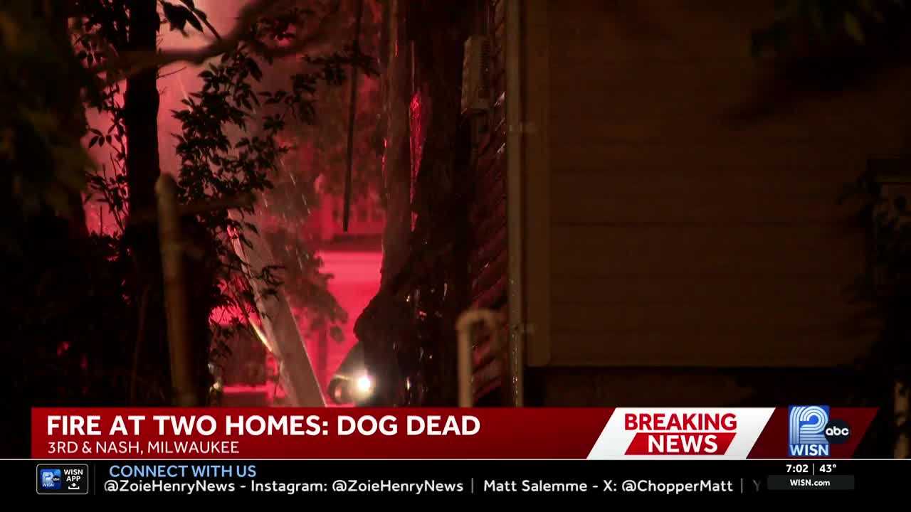 Dog killed during overnight fire that spread from one Milwaukee home to a second — WISN 12 Milwaukee, Dunedin Community news