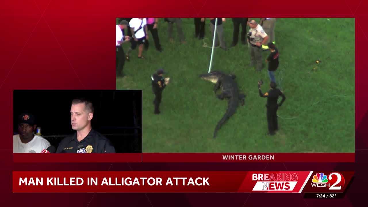 Fisherman, 71, dies after being attacked by 12-foot alligator — WISN 12 Milwaukee, Dunedin Community news