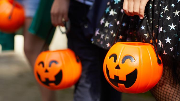 These are the top trending Halloween costumes in the Tampa Bay area for 2026 — WTSP 10 Tampa Bay, Dunedin Community news