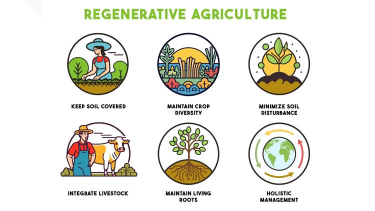 The truth about regenerative labels | Consumer Reports — WTSP Business Tampa Bay