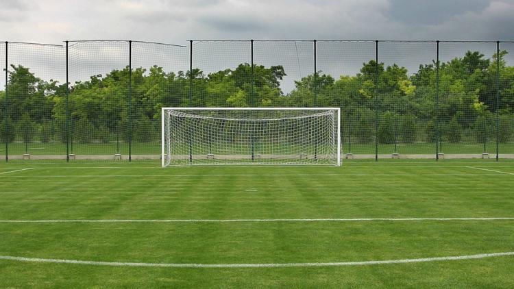 3-year-old Florida soccer player at center of viral dispute offered spot at soccer academy — WTSP Sports Tampa Bay