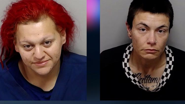 Dogs left to die while owners were passed out and intoxicated in nearby truck, San Antonio police say — KENS 5 (San Antonio), Dunedin Community news