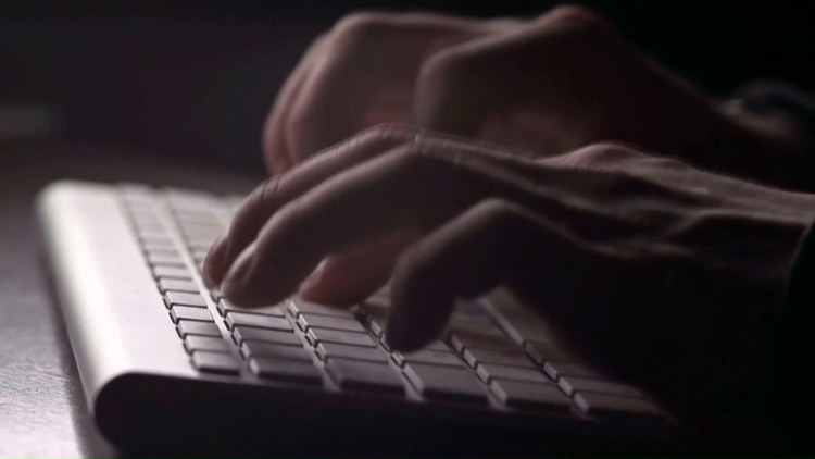 Scammers cash in on the holiday shopping rush — WTSP 10 Tampa Bay, Dunedin Business news