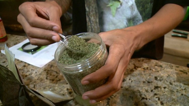 Hillsborough County considers restrictions on kratom products as families describe losing loved ones — WTSP 10 Tampa Bay, Dunedin Government news