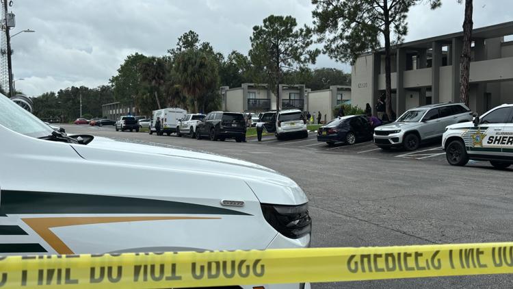 Hillsborough detectives investigating after child reports mother's death — WTSP 10 Tampa Bay, Dunedin Community news