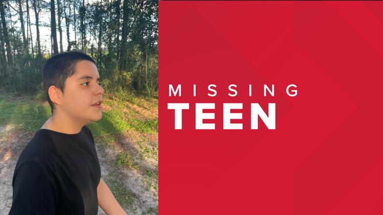 Missing 14-year-old in Spring Hill subject of a Spectrum Alert — WTSP 10 Tampa Bay, Dunedin Community news