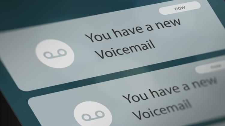 St. Pete Beach man charged with stalking; accused of leaving 43 voicemails — WTSP 10 Tampa Bay, Dunedin Community news