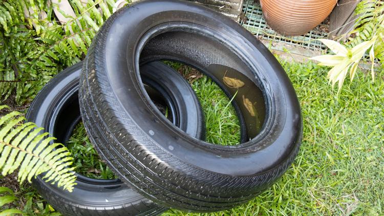 Hernando County waives tire disposal fees amid statewide dengue outbreak — Dunedin Community news