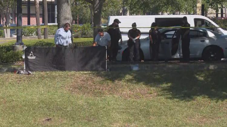 Tampa police find man's body in retention pond near Westshore Boulevard — WTSP 10 Tampa Bay