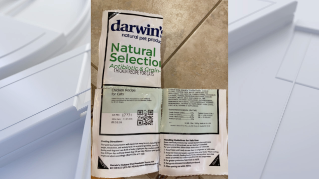 FDA warns pet owners after salmonella found in frozen cat food — Dunedin Community news