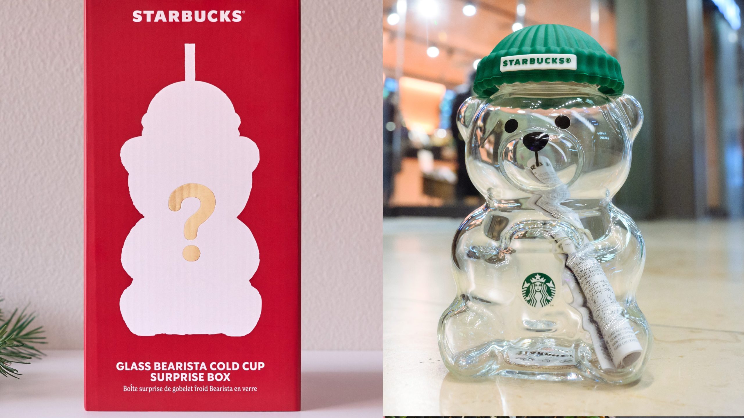 Starbucks bringing back viral bearista cold cups – with a twist — FOX 13 Tampa Bay News, Dunedin Sports news